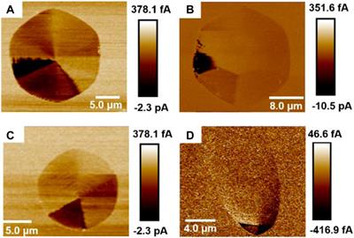 Dislocation-related leakage-current paths of 4H silicon carbide